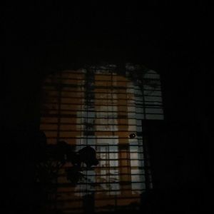 Meet your Posher, Jaz